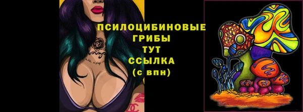 бутират Аркадак