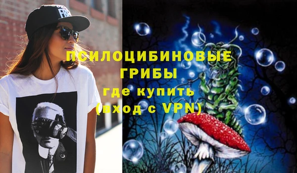 спиды Арсеньев