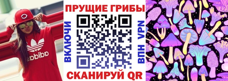 купить наркотики цена  shop Telegram  Галлюциногенные грибы GOLDEN TEACHER  Сасово 