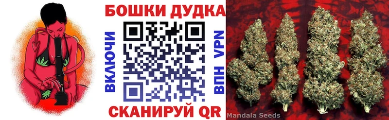 Бошки марихуана планчик  Сасово 